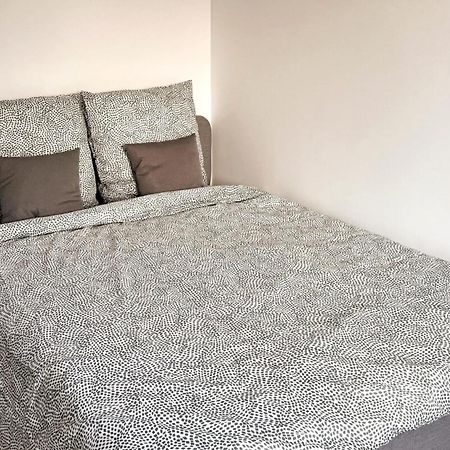 Nancy Centre Gare Appartement Renove 3 Chambres מראה חיצוני תמונה